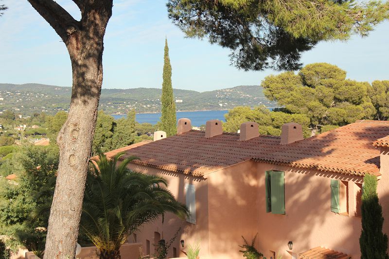 placeholder image-wide