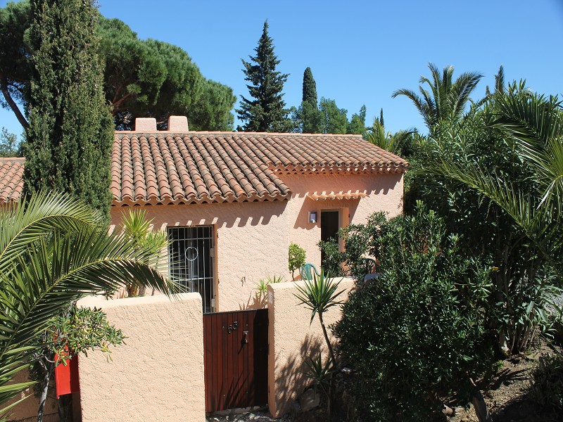 placeholder image-wide