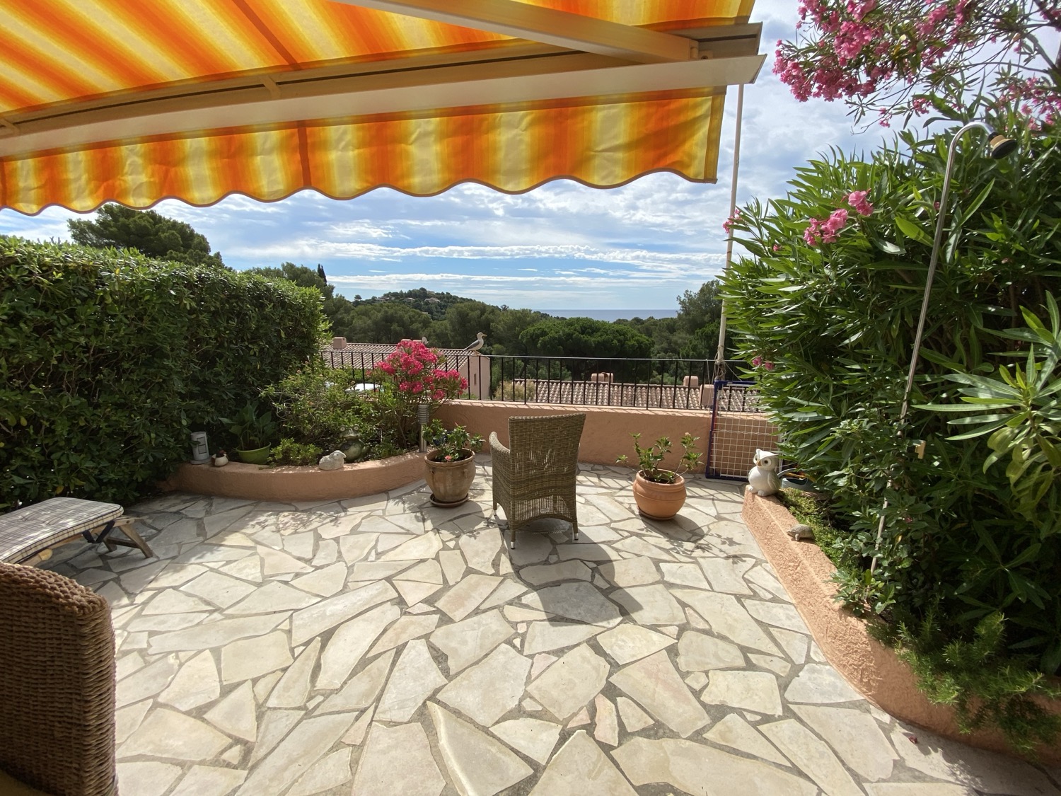 placeholder image-wide