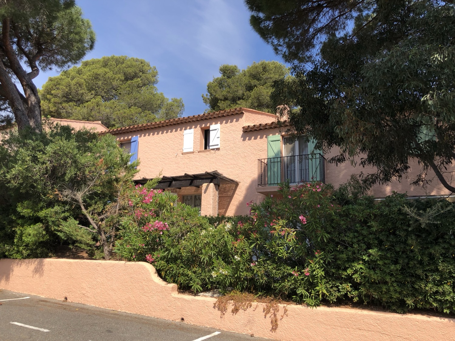 placeholder image-wide