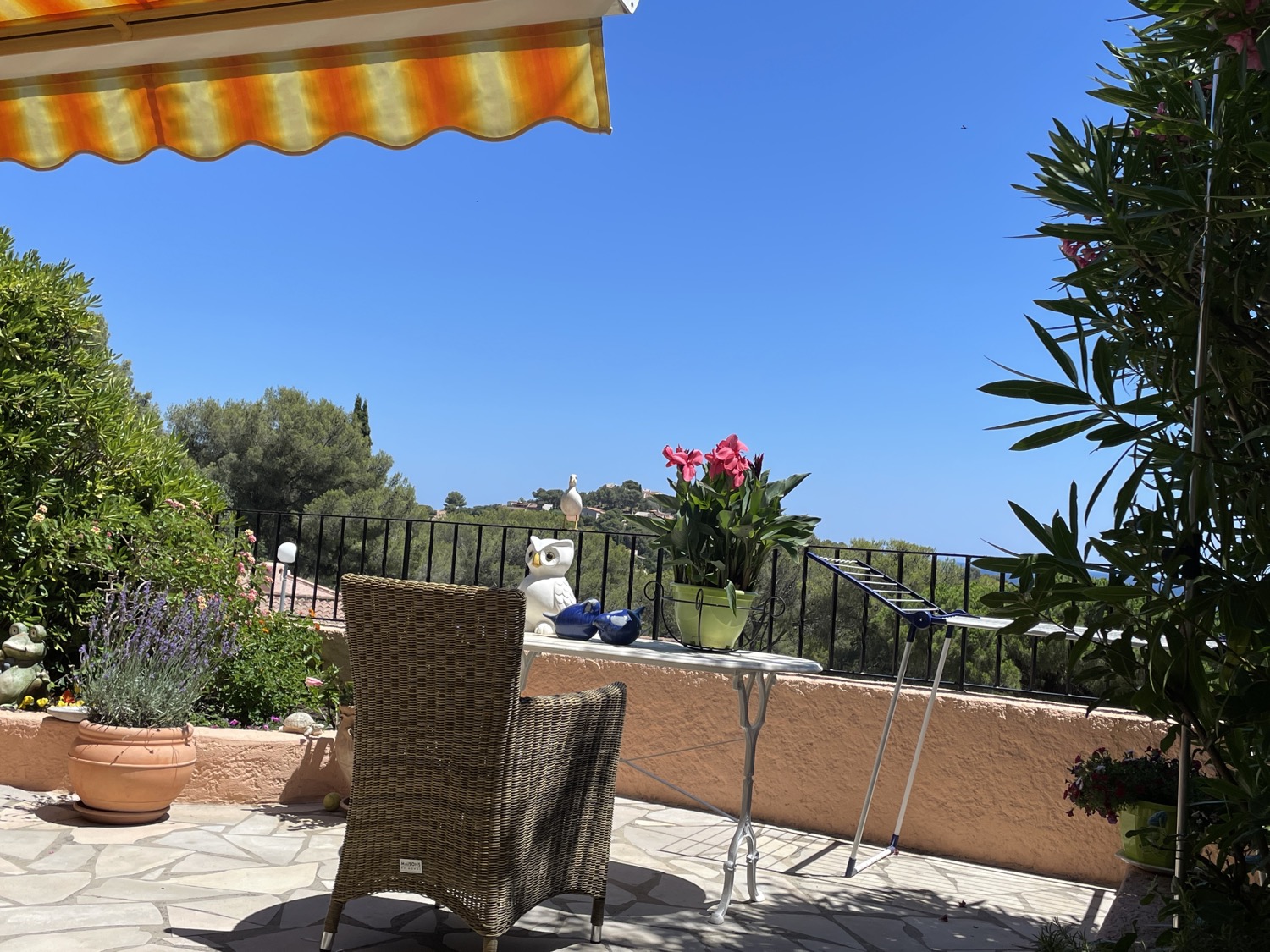 placeholder image sq