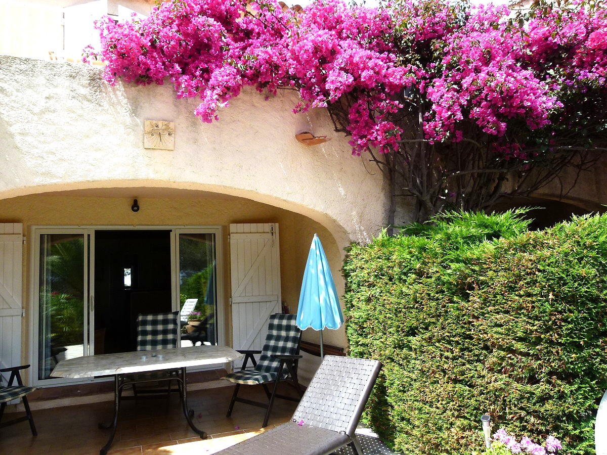 placeholder image-wide